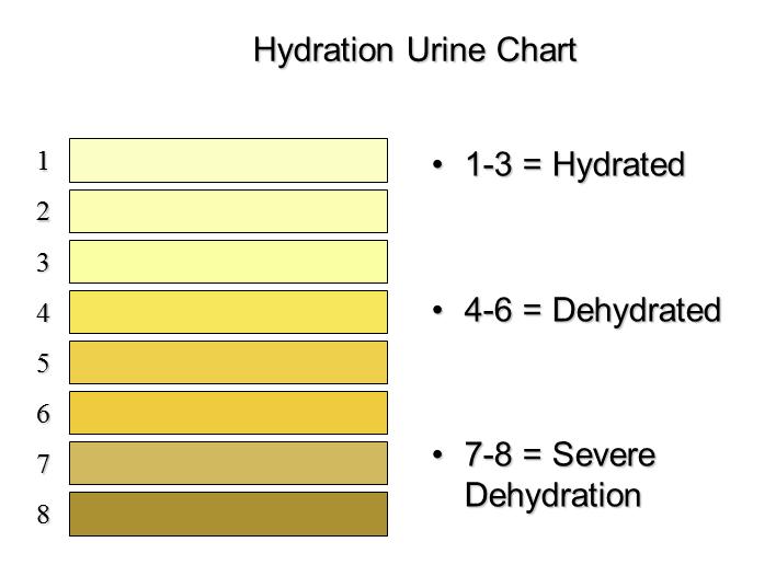 Urine Chart